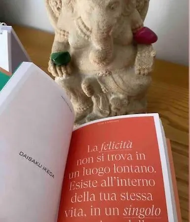 Appartement Ohana Piccolo *